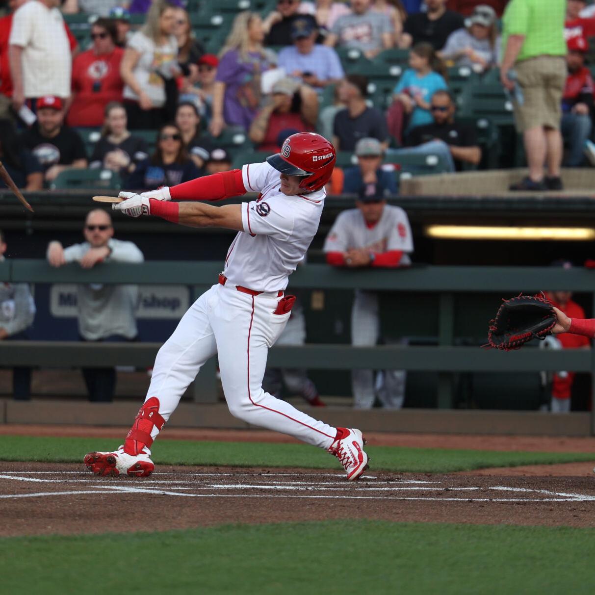 A broken bat at Bats game.JPG